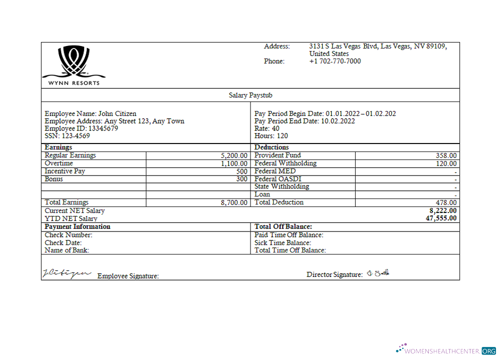 Download USA Wynn Resorts hospitality company pay stub Photoshop template